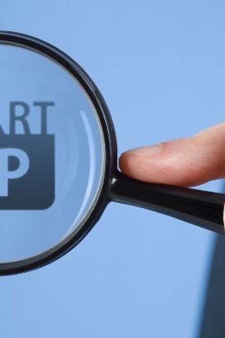 What Investors Look for in Startups